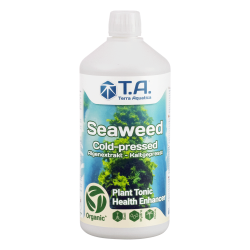 T. A. Seaweed - Ex GHE Seaweed
